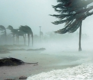 Palm trees blowing around in a storm with the tide rising.