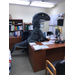 Beaufort staff memeber dressed up as a raptor